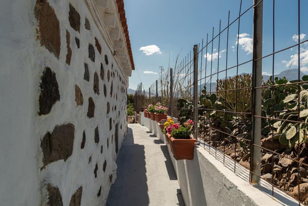 Vivienda Vacacional Ca' Pepita Y Jose El Albercon Exterior foto